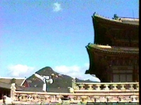 1995_COXSIDEK.jpg