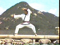 1995_POOLHORS.jpg