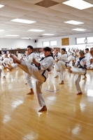 kdj yok gi session.jpg