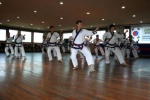 2008 Korea KDJ training 2.jpg