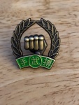 green belt MDK pin.jpg