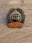 Orange belt pin.jpg